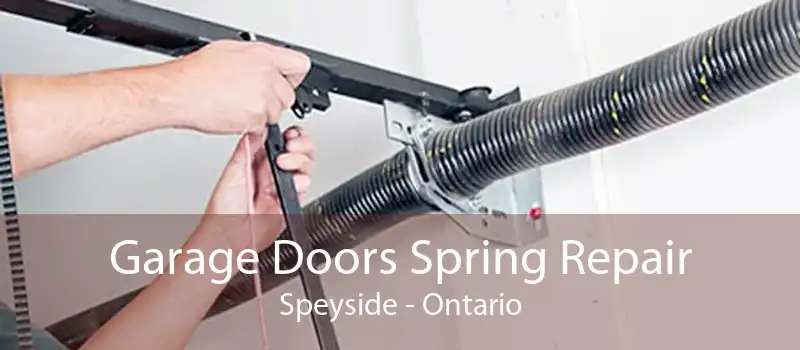 Garage Doors Spring Repair Speyside - Ontario