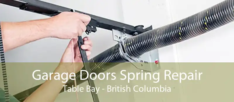 Garage Doors Spring Repair Table Bay - British Columbia