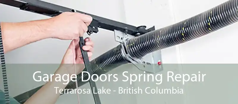 Garage Doors Spring Repair Terrarosa Lake - British Columbia