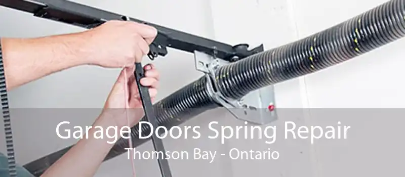 Garage Doors Spring Repair Thomson Bay - Ontario