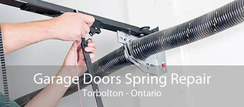 Garage Doors Spring Repair Torbolton - Ontario
