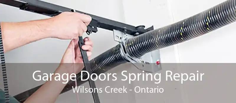 Garage Doors Spring Repair Wilsons Creek - Ontario