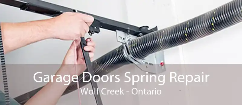Garage Doors Spring Repair Wolf Creek - Ontario