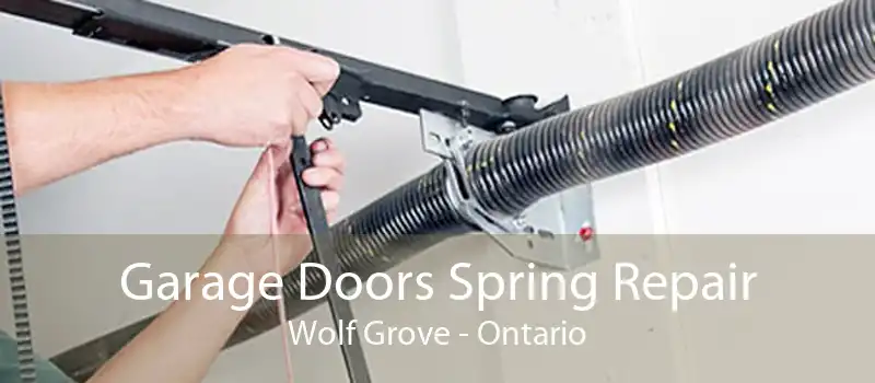 Garage Doors Spring Repair Wolf Grove - Ontario